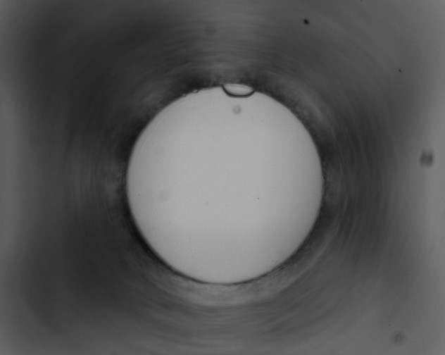 X0000102850034200809081254