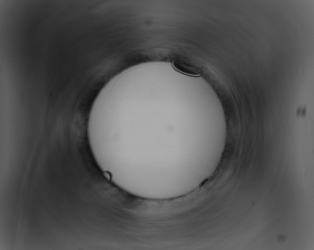 X0000102850037200809081254