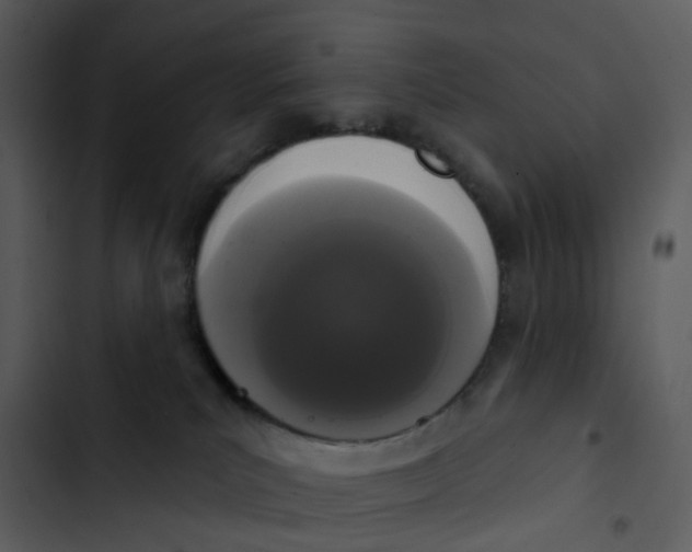 X0000102850039200809081254