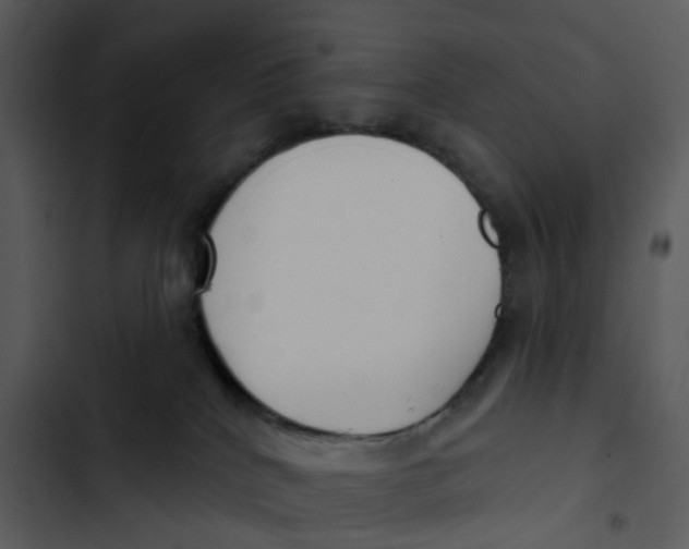 X0000102850040200809081254