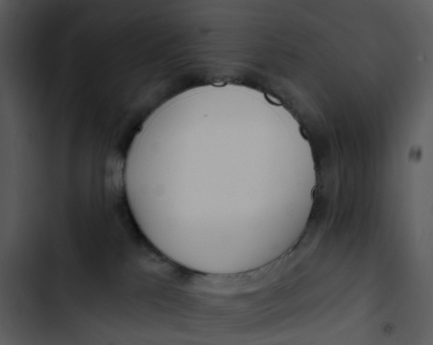 X0000102850041200809081254