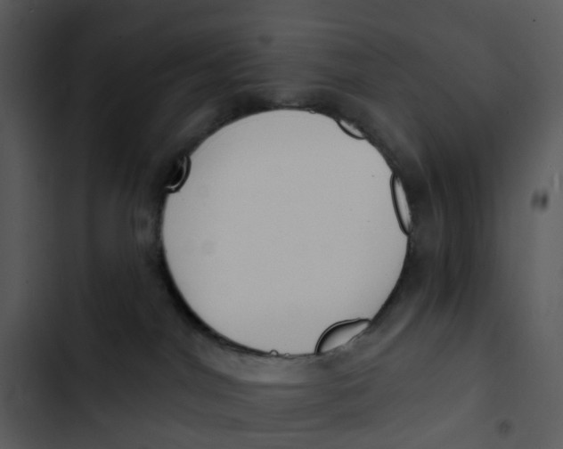 X0000102850044200809081254