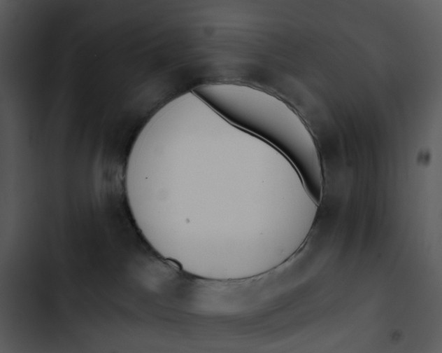 X0000102850045200809081254