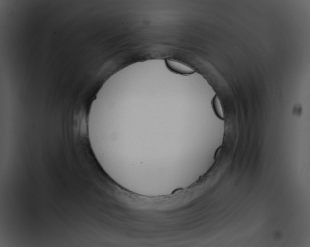 X0000102850046200809081253