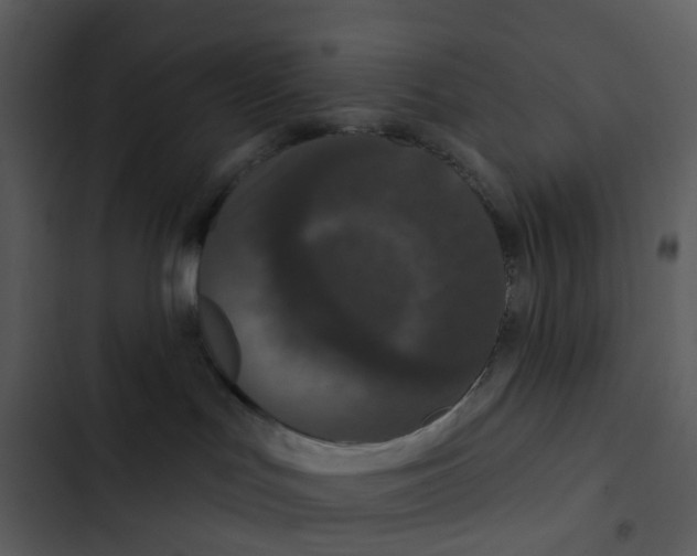 X0000102850047200809081253