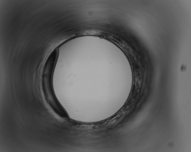 X0000102850049200809081253