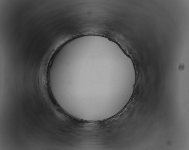 X0000102850050200809081253