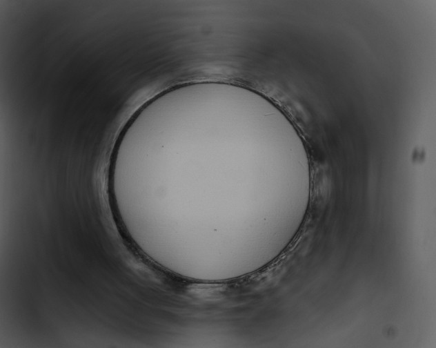 X0000102850051200809081253