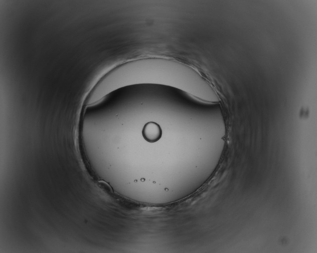 X0000102850052200809081253