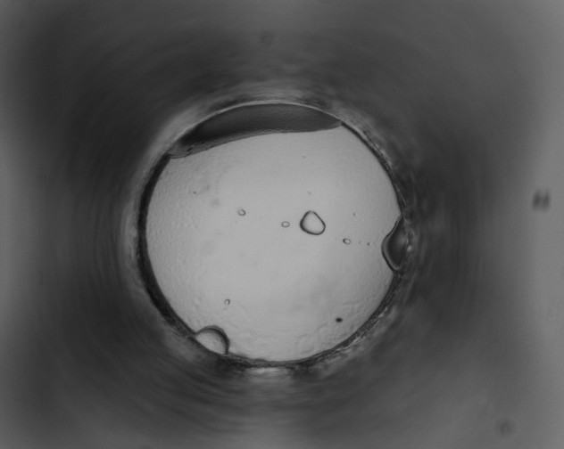 X0000102850053200809081253