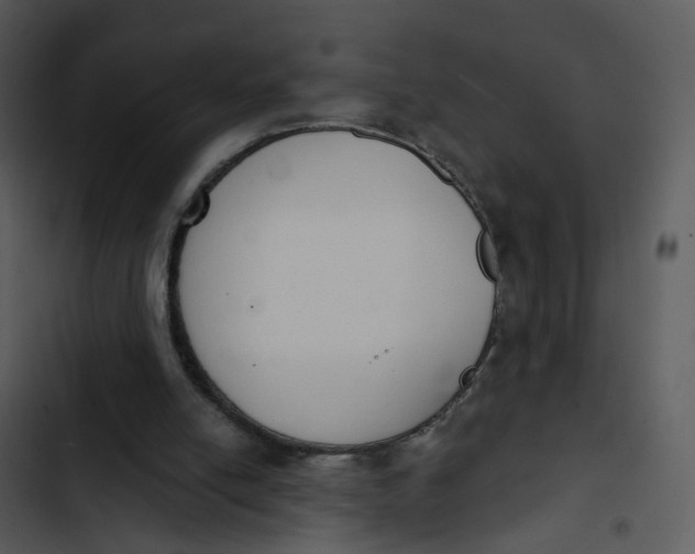 X0000102850054200809081253