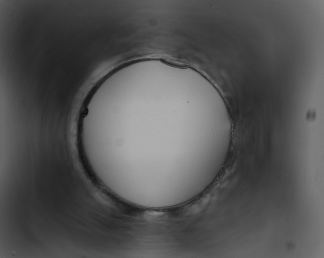 X0000102850055200809081253