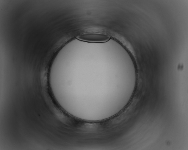 X0000102850057200809081253