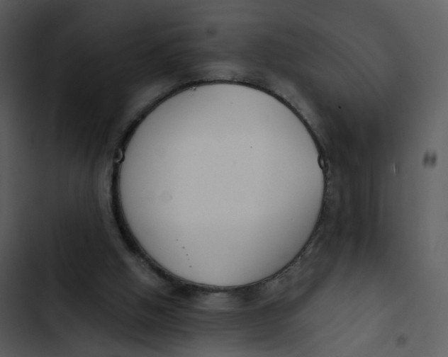 X0000102850058200809081253