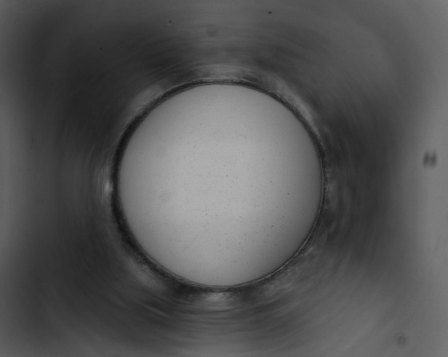 X0000102850059200809081253