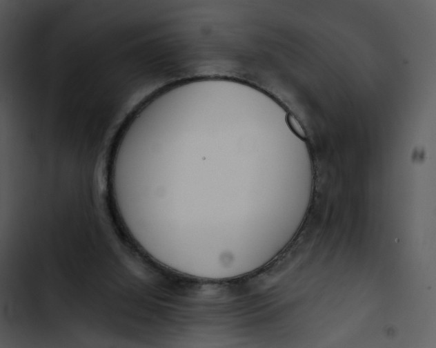 X0000102850060200809081253