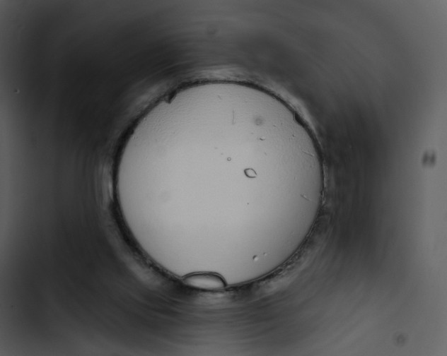 X0000102850061200809081253