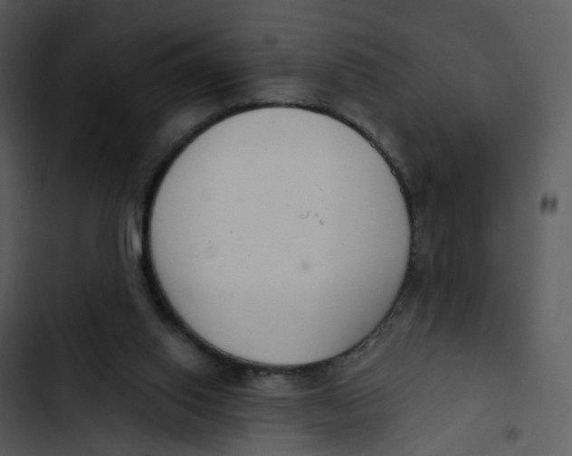 X0000102850062200809081253