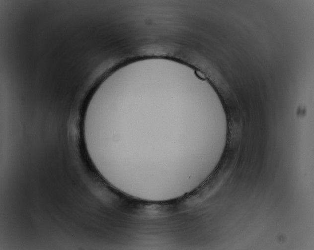 X0000102850064200809081253