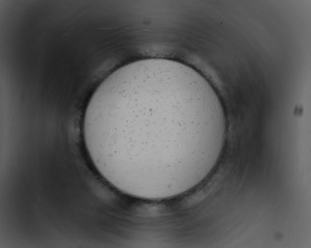 X0000102850065200809081253