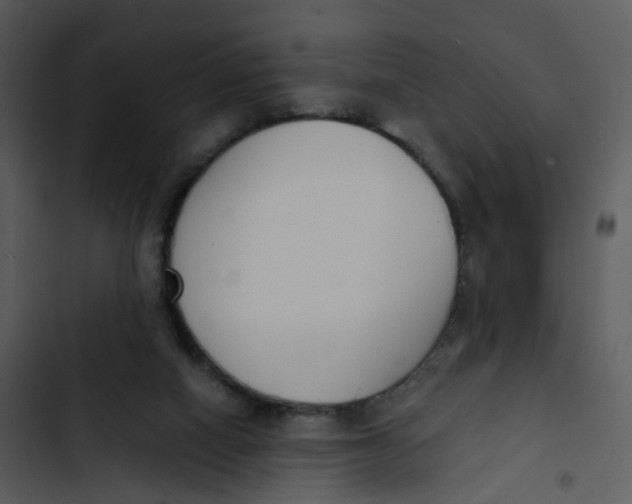 X0000102850066200809081253