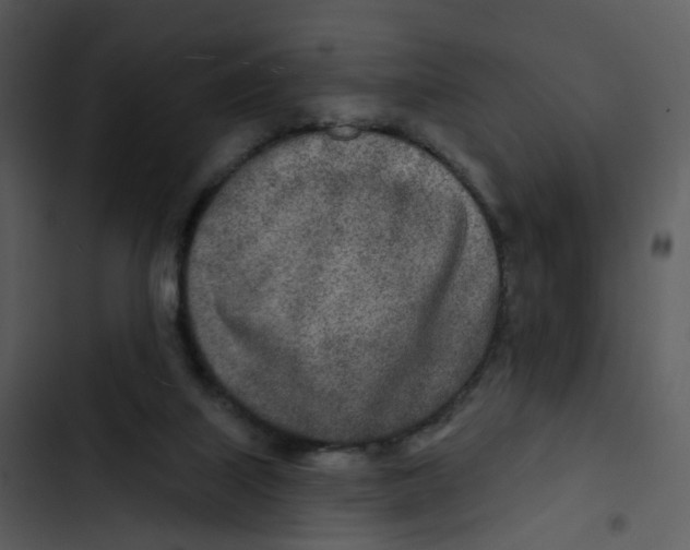 X0000102850067200809081253