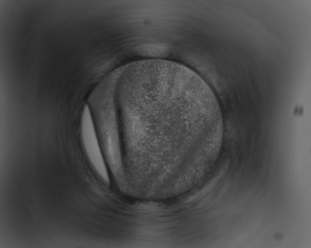 X0000102850069200809081253