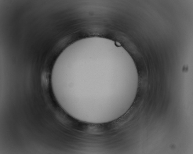 X0000102850070200809081253