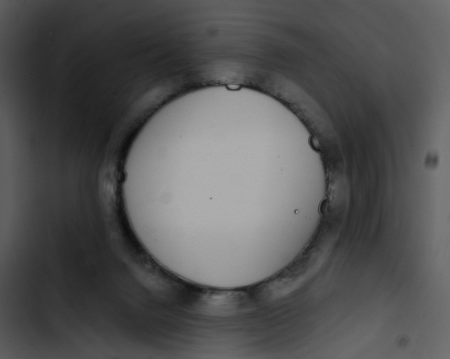 X0000102850072200809081253