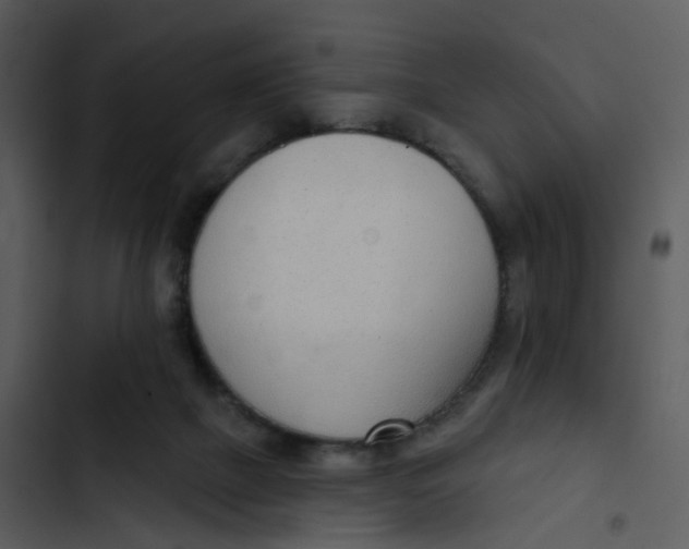 X0000102850073200809081253