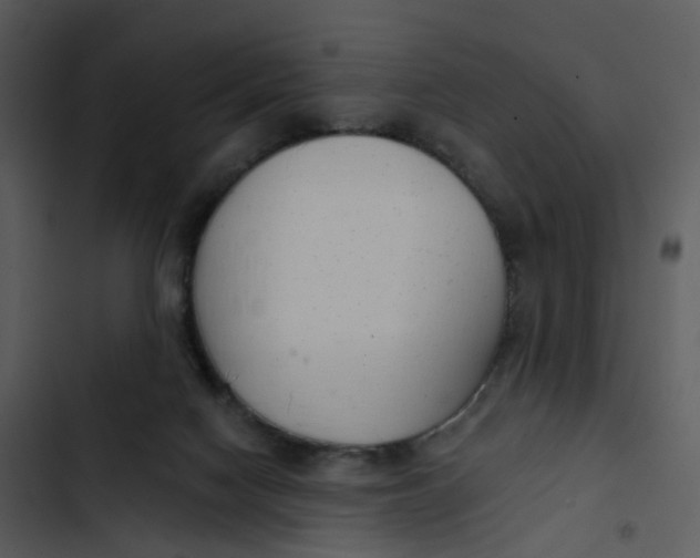 X0000102850074200809081253