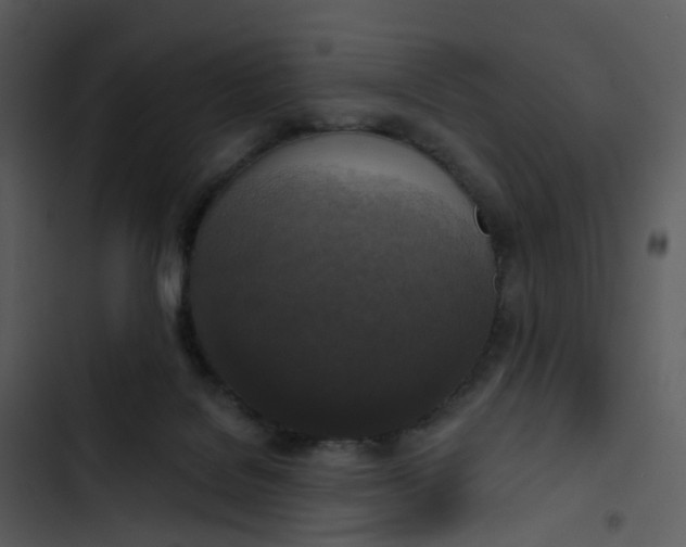 X0000102850076200809081253