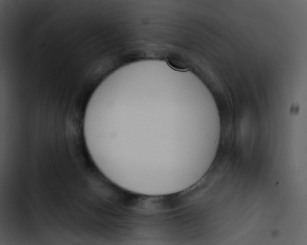 X0000102850078200809081253