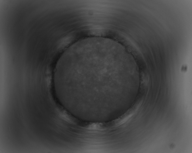 X0000102850080200809081253