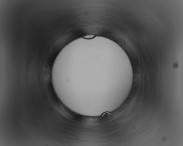 X0000102850081200809081253