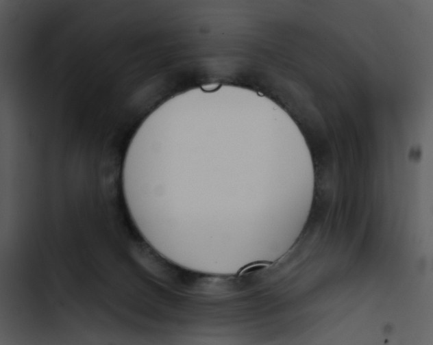 X0000102850082200809081253