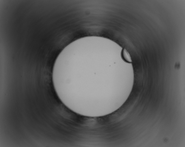 X0000102850083200809081253