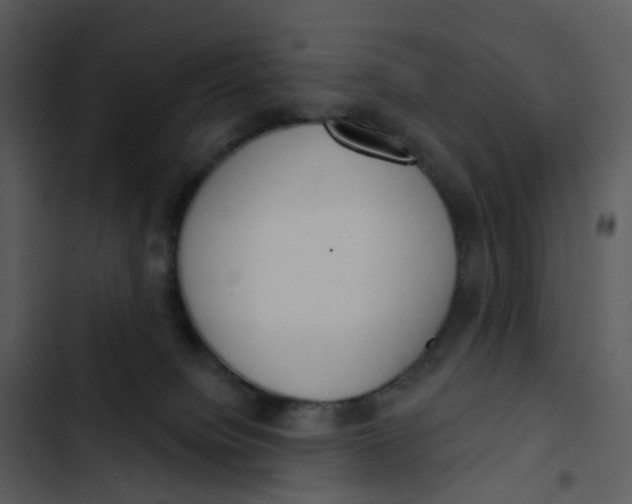 X0000102850084200809081253