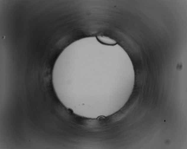 X0000102850085200809081253