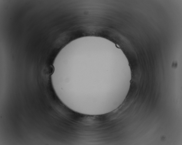 X0000102850086200809081253