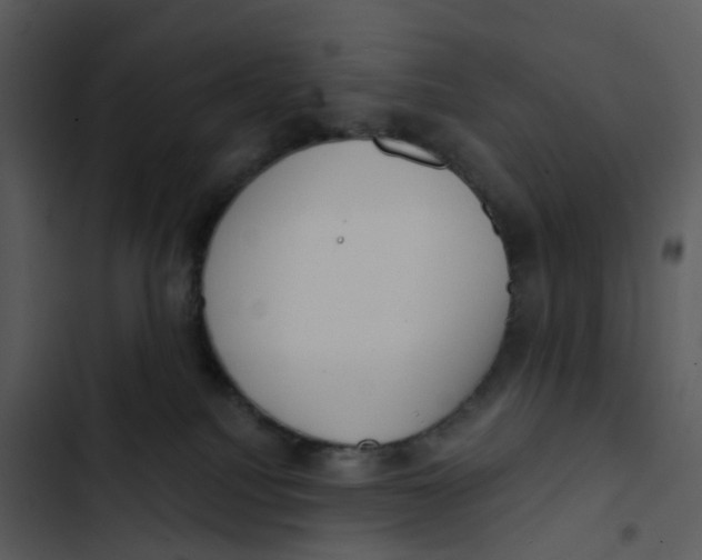 X0000102850088200809081253