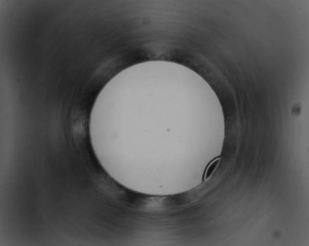 X0000102850090200809081253