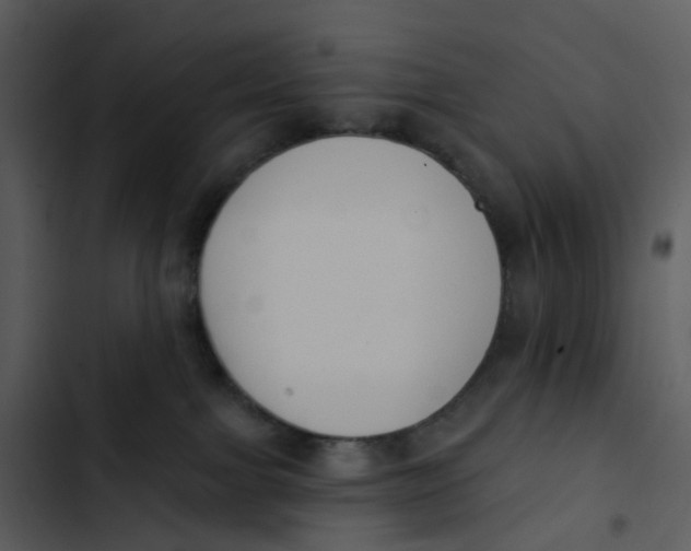 X0000102850091200809081253