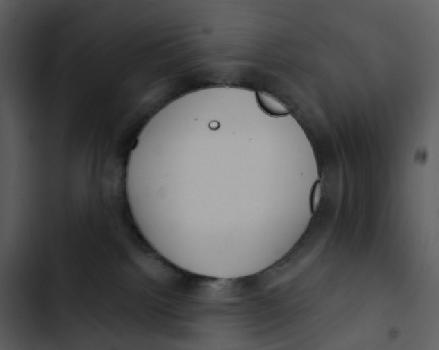 X0000102850092200809081253