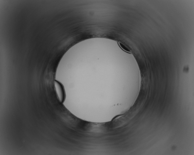 X0000102850093200809081253