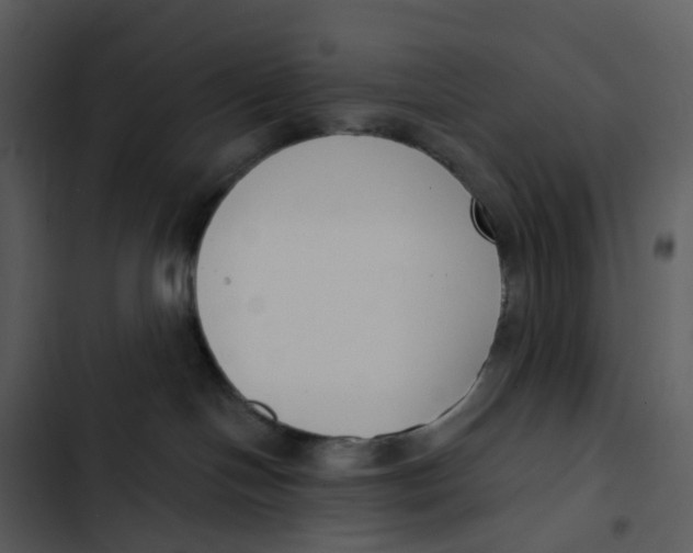 X0000102850094200809081253