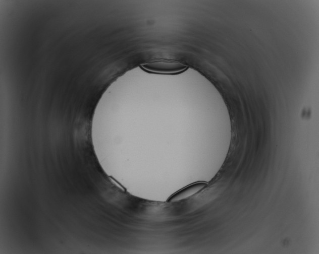 X0000102850096200809081253