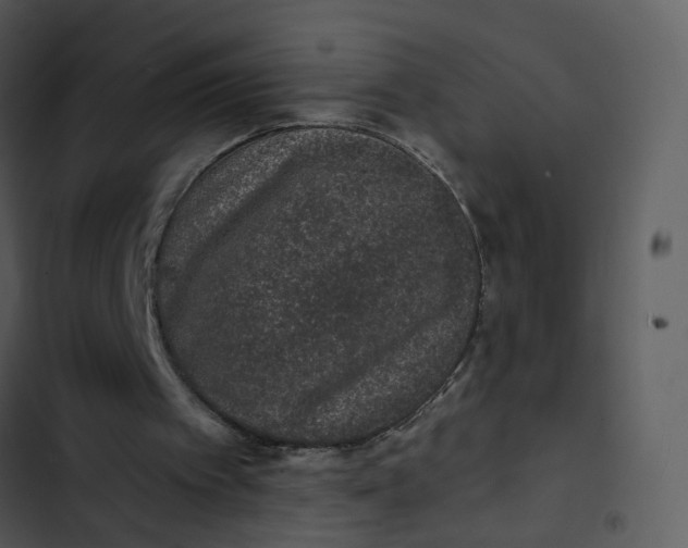 X0000102850097200809081253