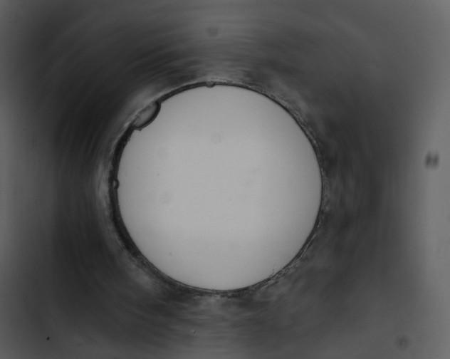 X0000102850098200809081253