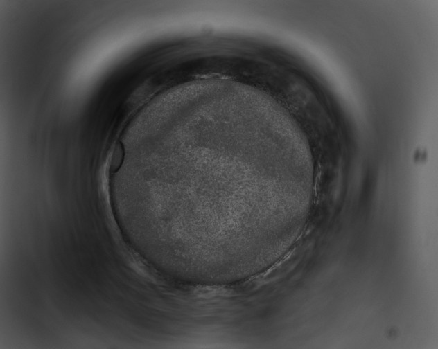 X0000102850099200809081253